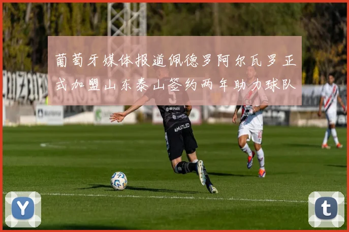 葡萄牙媒体报道佩德罗阿尔瓦罗正式加盟山东泰山签约两年助力球队发展