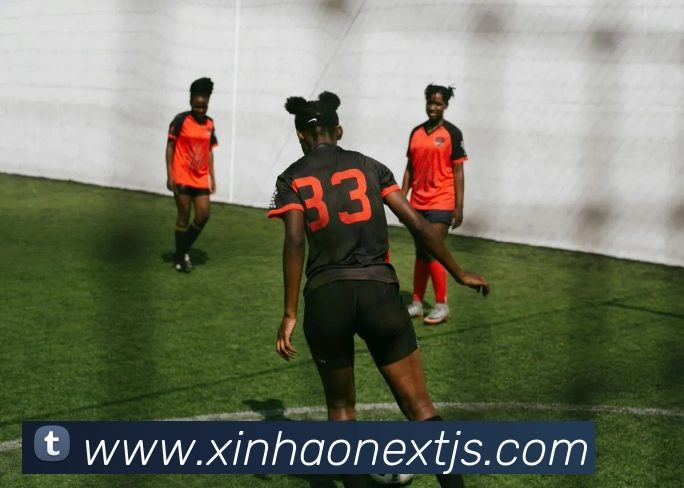 新濠博亚官网平台生态图