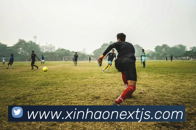 新濠博亚官网APP 封面图